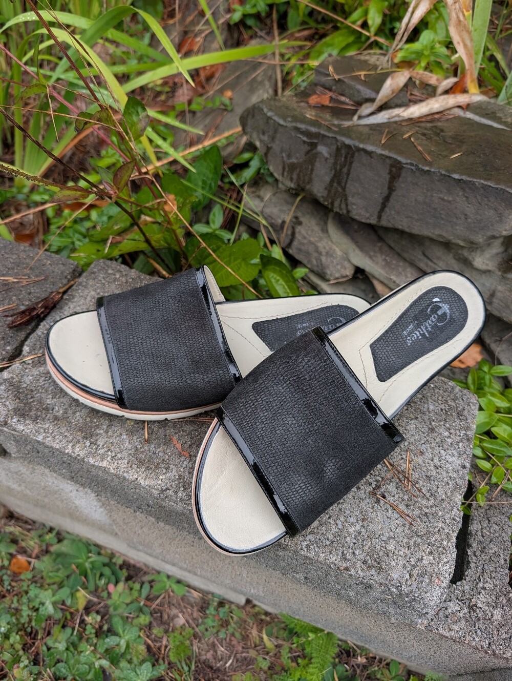 Women's Earthies By Earth Black Leather Slides Size 12B